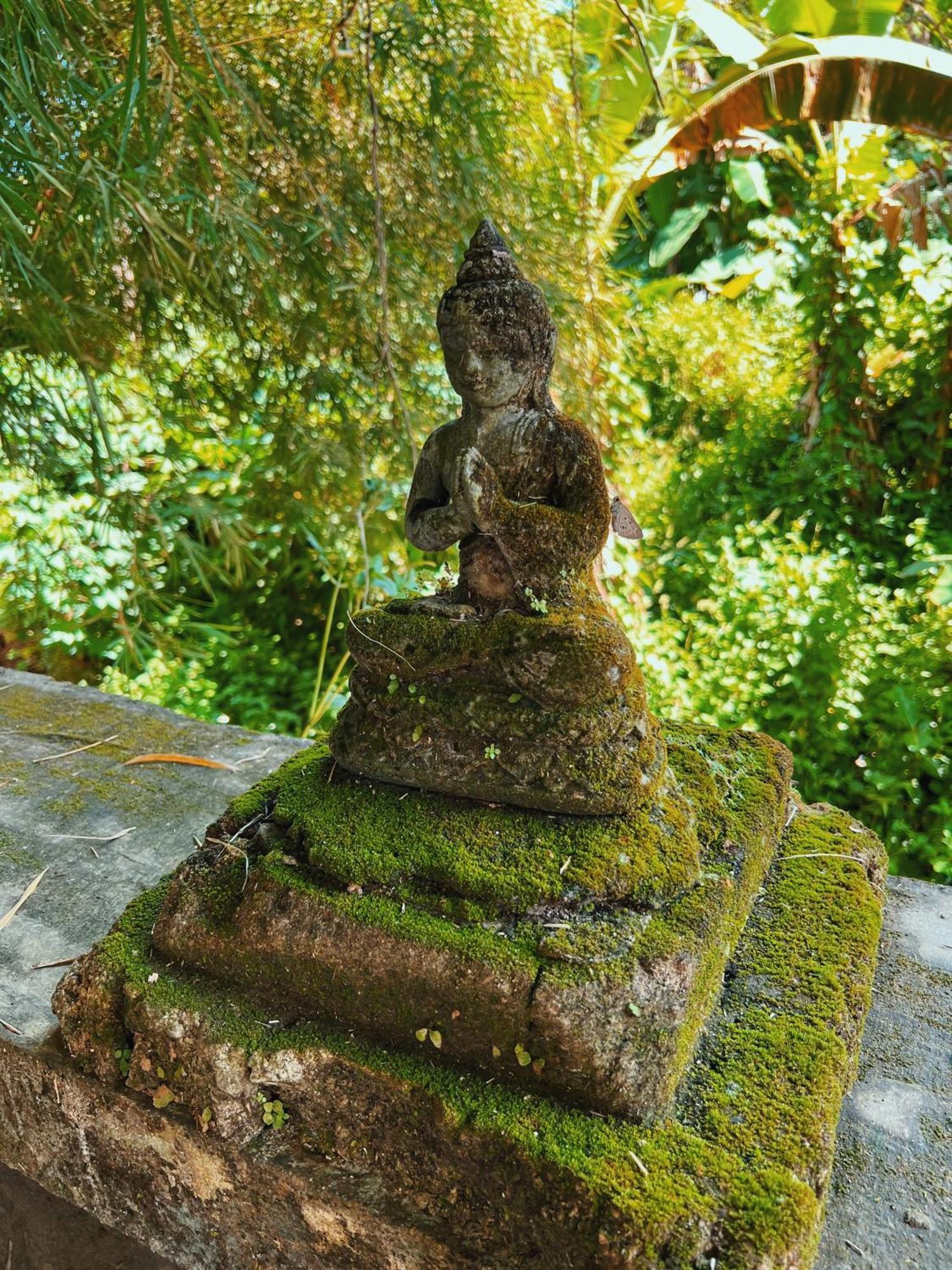 Villa Neshama Canggu Extérieur photo