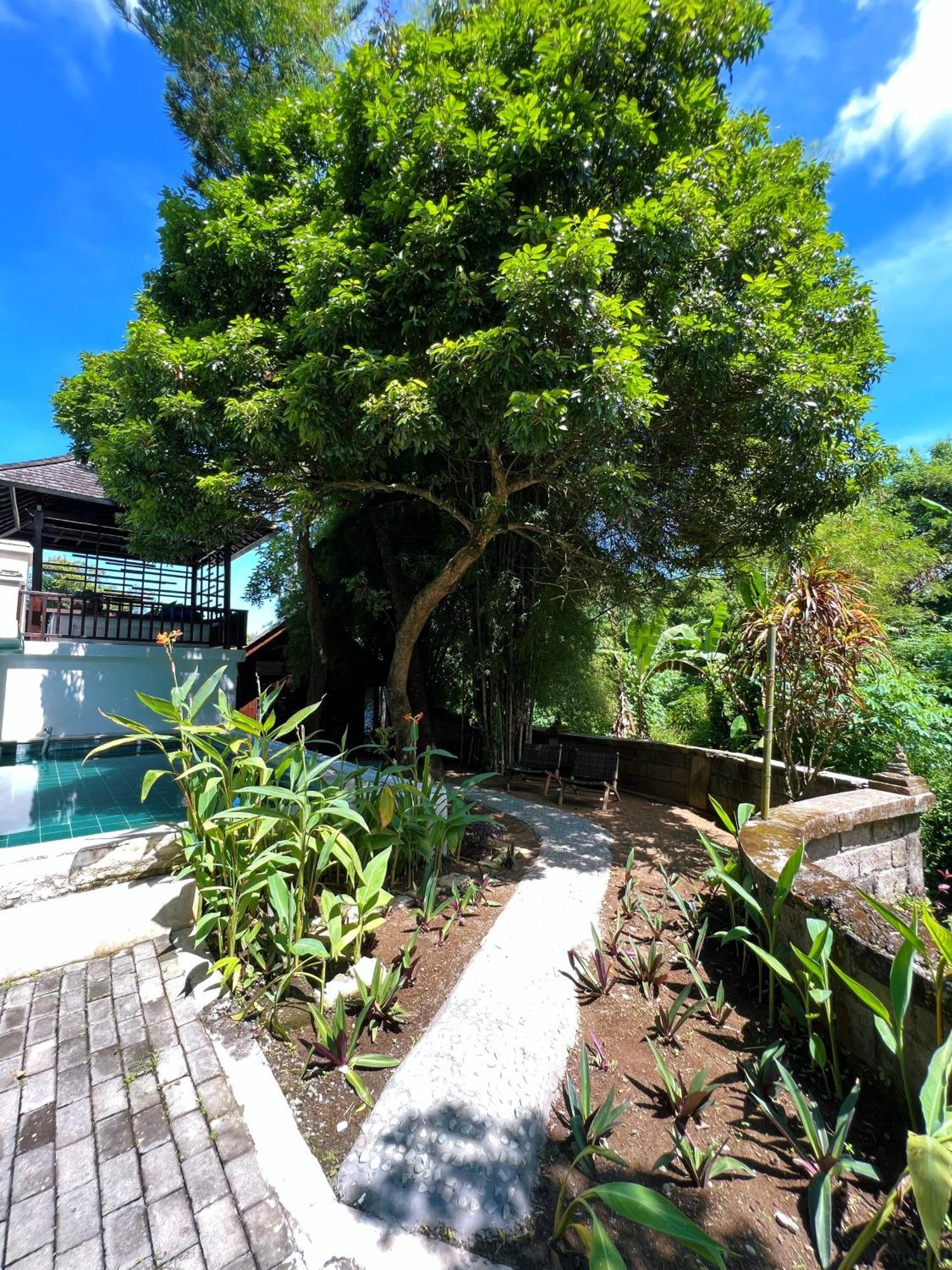 Villa Neshama Canggu Extérieur photo